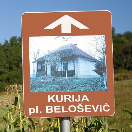 Kurija Inn Hrašćina Exteriör bild